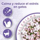 Beaphar Calming Collar Relajante para gatos, , large image number null